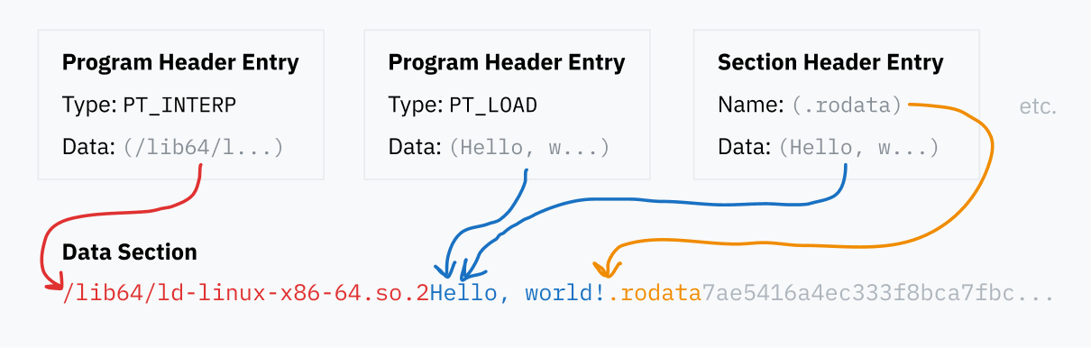 ELF 파일의 다른 부분이 데이터 블록 내의 위치를 참조하는 방법을 보여주는 다이어그램. 끝에서 희미해지는 연속적인 데이터 컬렉션이 묘사되며, ELF 인터프리터로의 경로, 섹션 제목 ".rodata", 문자열 "Hello, world!"와 같이 명확하게 인식 가능한 것들을 포함합니다. 몇 가지 예제 ELF 섹션이 데이터 블록 위에 떠 있으며, 화살표가 그들의 데이터를 가리킵니다. 예를 들어, PHT와 SHT 항목 예제의 데이터 섹션은 모두 동일한 "Hello, world!" 텍스트를 가리킵니다. SHT 항목의 레이블도 데이터 블록에 저장됩니다.